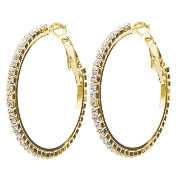HOOP LEVER BACK EARRING