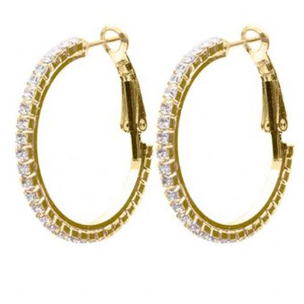 HOOP LEVER BACK EARRING