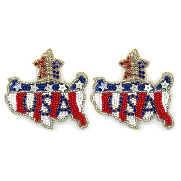 SEED BEAD USA DANGLE EARRING