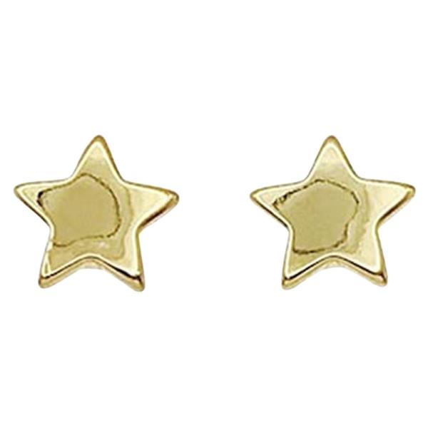 METAL STAR STUD EARRING