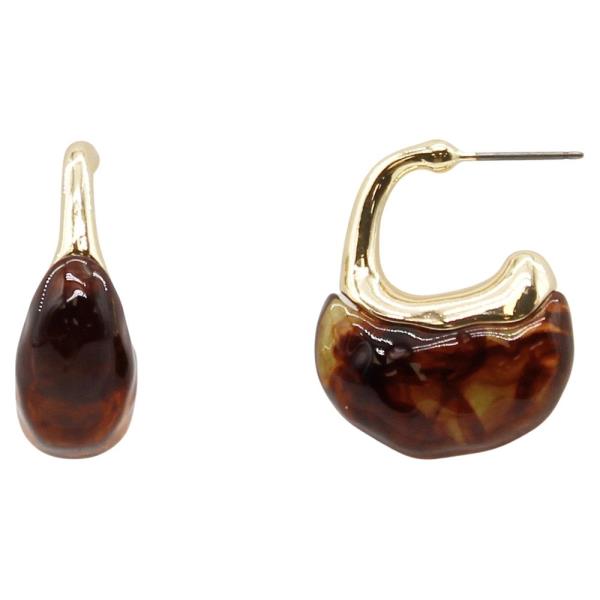 RESIN HOOK EARRING