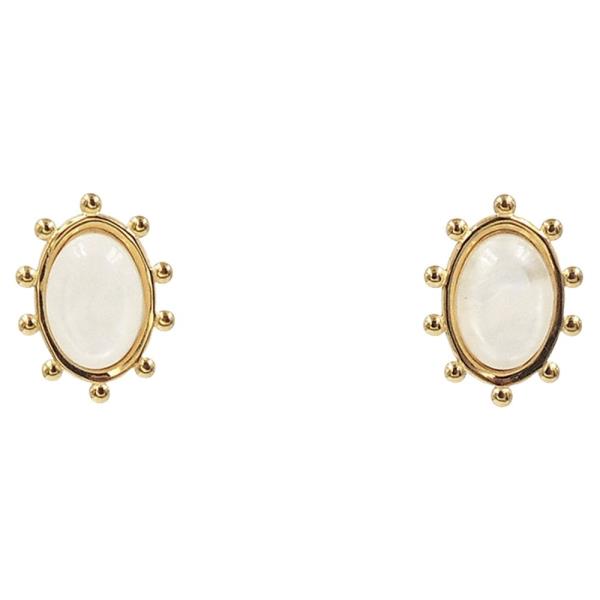 STAINLESS STEEL ACRYLIC OVAL EARRING