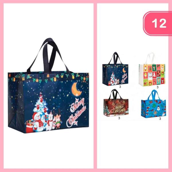 GIFT BAG (12 UNITS )